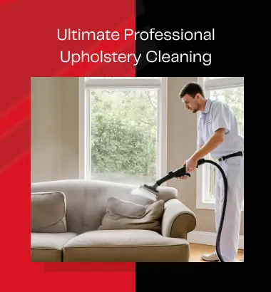 Professional Upholstery Cleaning Professional Upholstery Cleaning